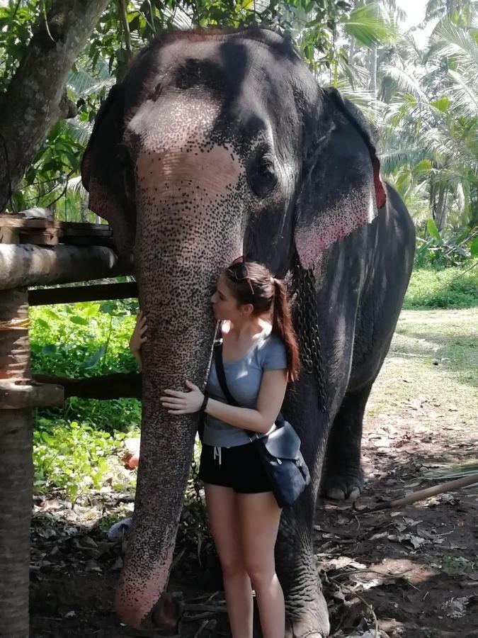Rainbow Beach Resort อัมบาลังโกดา ภายนอก รูปภาพ